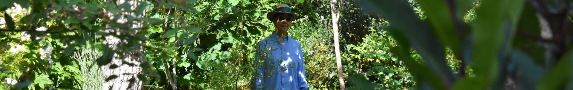 Dominique GRESSIN – Jardin secret