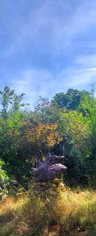 Jardin Secret – Dominique Gressin 14