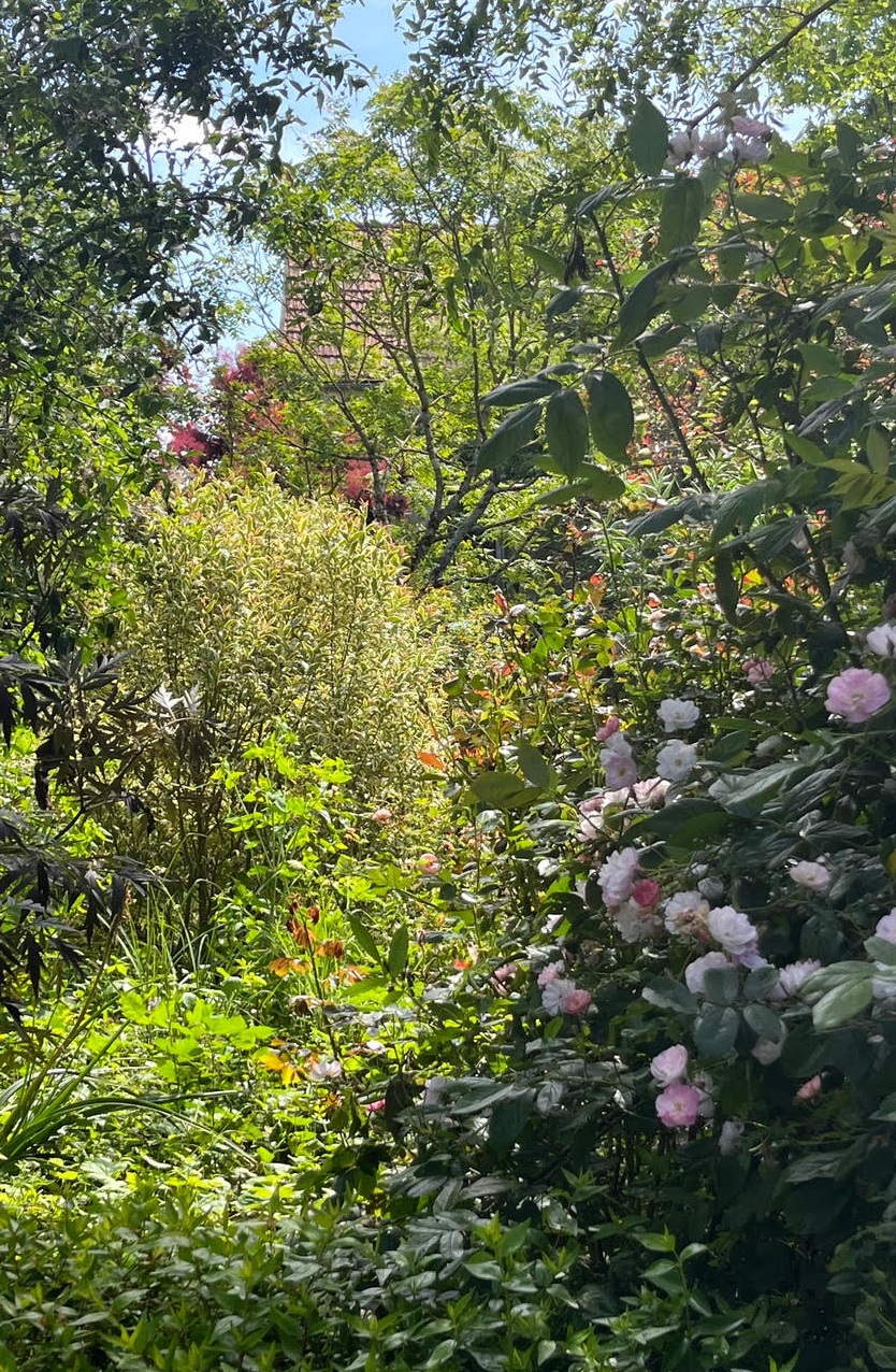 Dominique Gressin plasticienne Mon jardin 1