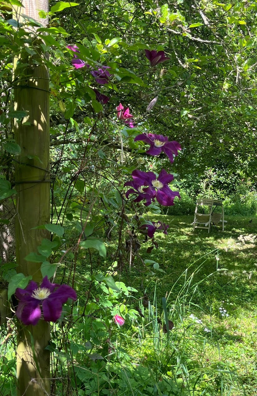 Dominique Gressin plasticienne Mon jardin 15