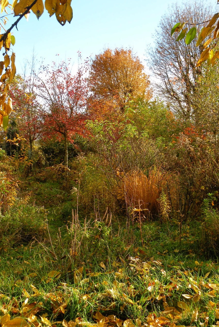 Dominique Gressin plasticienne Mon jardin 4