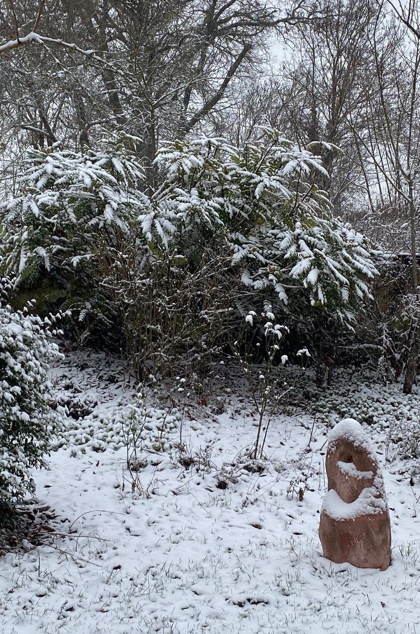 Dominique Gressin plasticienne Mon jardin 7