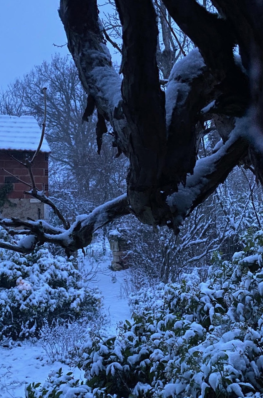 Dominique Gressin plasticienne Mon jardin 9