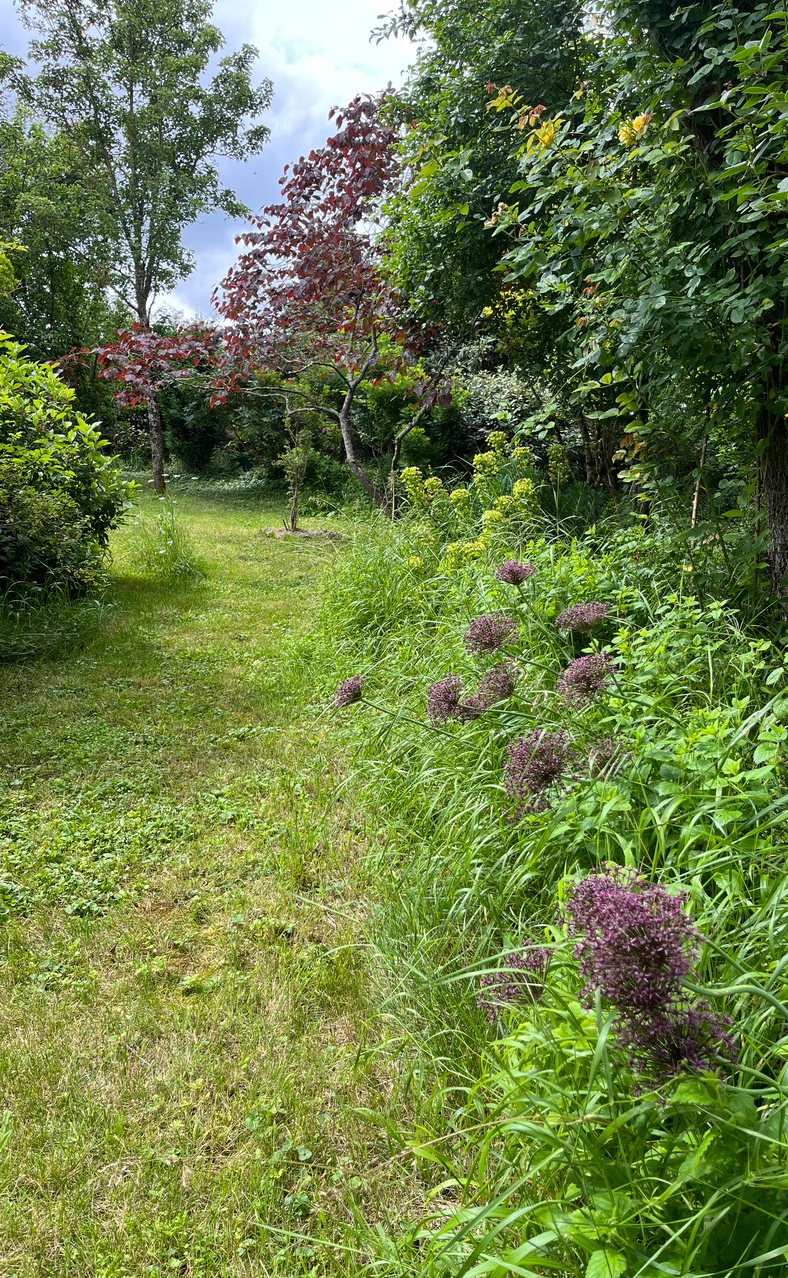 Dominique Gressin plasticienne Mon jardin monde 20